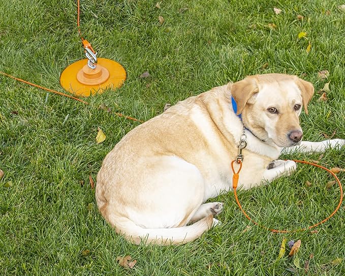 IntelliLeash 25FT Tie-Out Cables for Dogs - Strong, Safe, and Durable Dog Tie-Outs for Every Breed up to 125 Pounds - Weather and Wear Resistant Galvanized Aircraft Cable for Outside Use