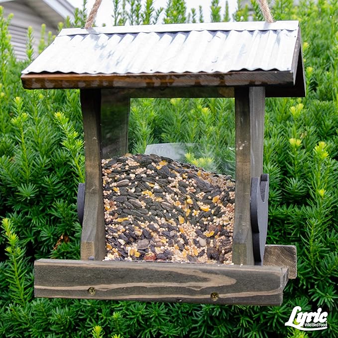 LEBANON SEABOARD SEED 26-47293 Supreme Bird Seed, 40 lb